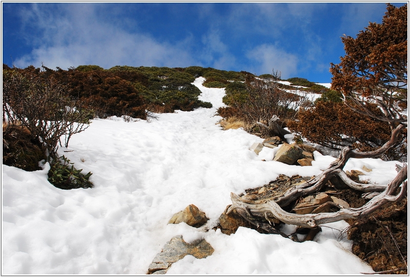 2012-03-06 11-20-44踏雪登雪山途中.JPG